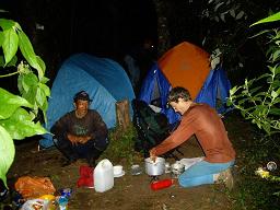 jungle camp