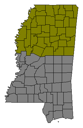 Mississippi Regional Map