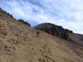 sandy trail