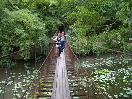 on foot bridge