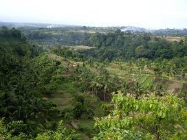 Lombok