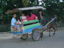 horse and buggie